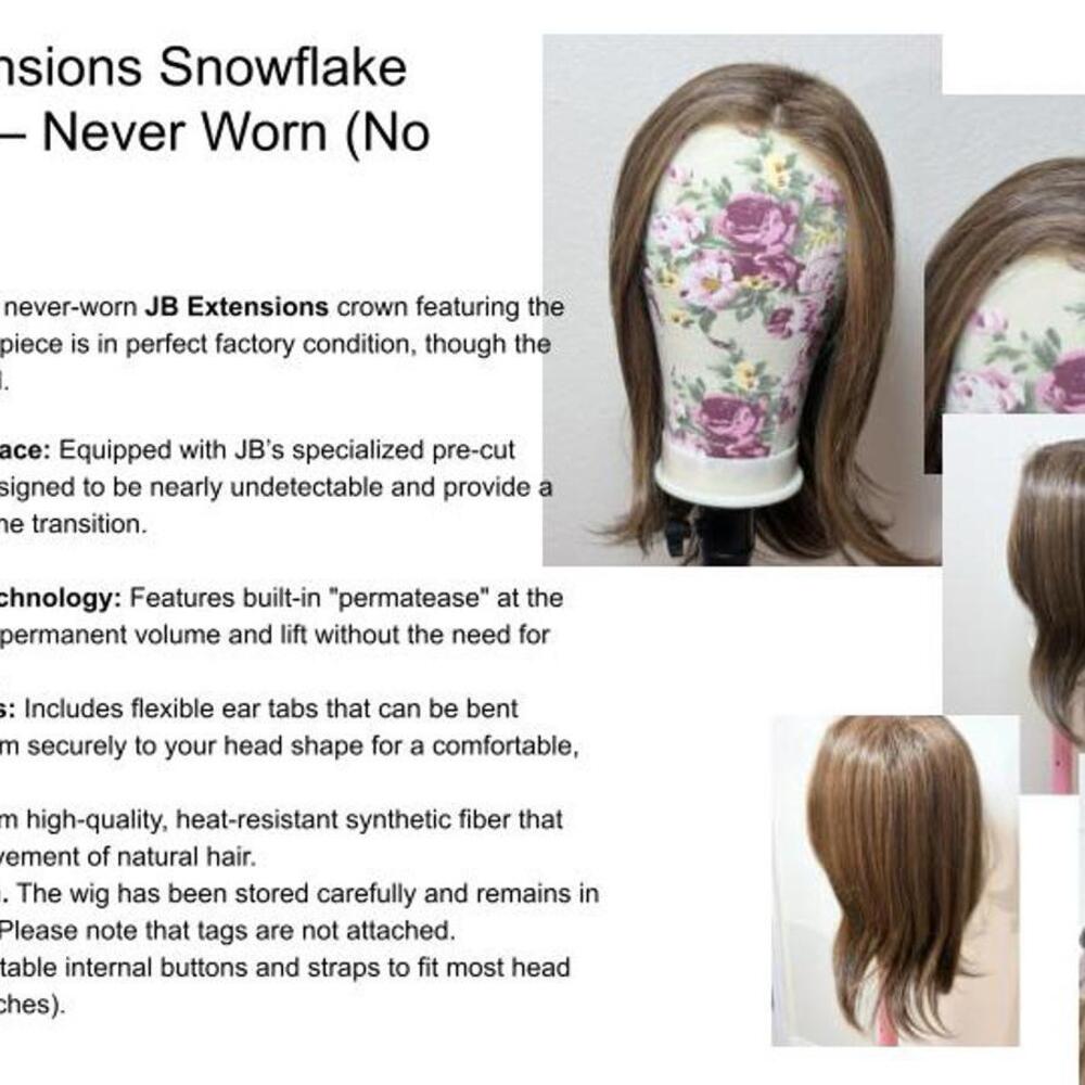 JB Extensions Snowflake Lace Front Wig – Never Worn (No Tags)